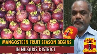 Mangosteen - The Science. 