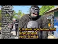 Full Album lagu terbaru 2025 singa dangdut putra pai muda || PPM