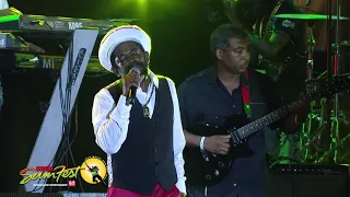 cocoa tea reggae sumfest spotlight 4