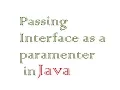 Passing Interface as parameter to the method in JAVA