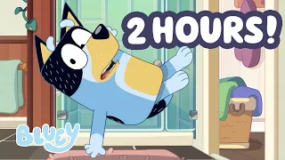 Bingo uses her strong potion on Bandit!💙💪🧪| 2 HOURS | ﻿Bluey