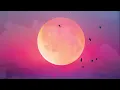 Fly Me To The Moon - The Macarons Project (Lyrics)