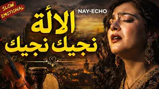 الآلة نجيك نجيك                     أقوى أغنية راي شعبي      دندنها
