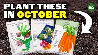 8 Crops You Should Plant in October ASAP