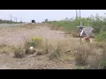 NMDOT faces lawsuit for road conditions on 285
