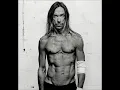 Download Lagu Iggy Pop - Punkrocker (2007)