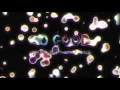 Fred Falke, Zen Freeman & Ten Ven - So Good (feat. Kelli-Leigh [Picard Brothers Remix] [Full Stream]
