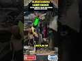 Download Lagu berdiri tegak walaupun dengan satu kaki#islamicreminder #viralvideo #viralshorts