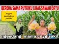 Download Lagu BERDUA SAJA SAMA PUTRIKU  LIHAT SAWAH ORTUKU DAN JENGUK MAMA CI YANG SAKIT