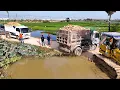 Download Lagu Nice bulldozer starts pushing soil filling new project with dump trucks