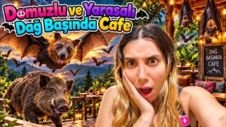 Domuzlu ve Yarasalı Dağ Başında Cafe - Biraz Ürkütücü Ama Keyifli ve Manzaralı