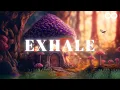 Download Lagu Glowing Forest Sounds 🌙 | EXHALE – Relaxing Music for Sleep, Meditation \u0026 Emotional Healing