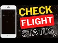 How to Check Flight Status on Delta Air Lines App