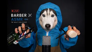 This Dog Barber Will Make You Sleep 😴