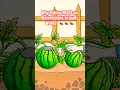 Download Lagu Why Putting ROCKS on Watermelons Actually WORKS! 🍉 #watermelon #animation