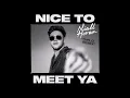 Niall Horan, Diplo - Nice To Meet Ya (Diplo Remix)