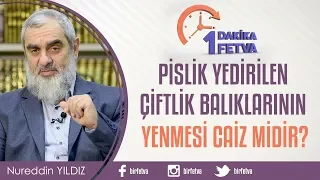 Pislik yedirilen çiftlik balıklarının yenmesi caiz midir?