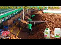 Download Lagu DARI KEBUN HINGGA DUNIA | PROSES MODERN PEMBUATAN VIRGIN COCONUT OIL DI THAILAND