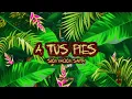 A tus pies - Sion Nación Santa - (Video Motion )