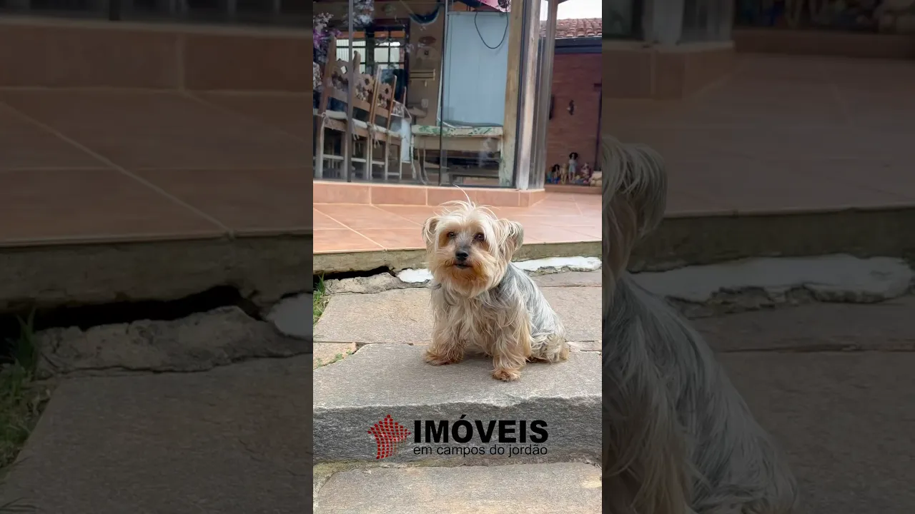 Video do Imóvel: Linda casa residencial de alto padrão, localizada na região do Alto do Capivari em Campos do Jordão.