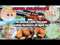Download Lagu SUPER MELIMPAH‼️berburu belibis langsung di sarang nya // di jamin lupa pulang