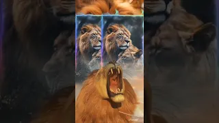 ١٥ يونيو ٢٠٢٥ 