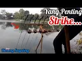 Download Lagu Ngejar Sambaran Ikan, Sampe Hampir Jatuh||Mancing Saguling Terbaru||Bleseng Saguling