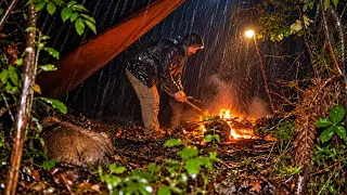 3 Days in the Wilderness with My Dog… Then the Rain Hit