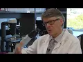 STEMCELL Technologies