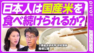 【日本のコメが消える？】日本人は国産米を食べ続けられるのか／食料安全保障の危機と農地減少の真相／輸出増や補助金依存の限界／主食100％自給を維持する「生産性改革」とは