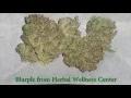 BLURPLE from Herbal Wellness Center