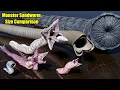 Download Lagu Monster Sandworm Size Comparison