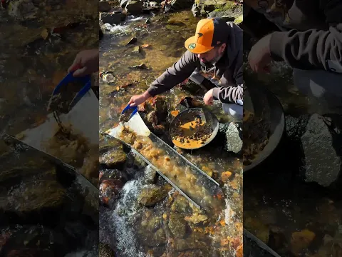 #goldprospecting