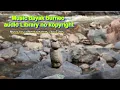 Download Lagu Music dayak borneo | audio Library  | no kopyright