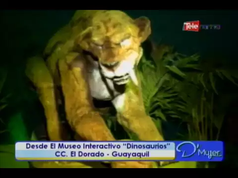 Desde el museo interactivo Dinosaurios CC. El Dorado - Guayaquil