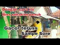 Download Lagu Cara agar burung sirtu gacor sepanjang hari ,, dari pagi sampe sore joss