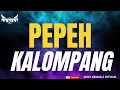 Download Lagu FUNKOT II PEPEH KALOMPANG [ IQBAL GHANIS ] COVER BY ANDY AENCALZ OFFICIAL