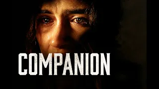 Companion 2021 FULL HORROR MOVIE THE HORROR ZONE