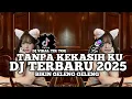 Lagu DJ TANPA KEKASIH KU || DJ VIRAL TIK TOK TERBARU 2025 YANG BANYAK DI CARI CARI!!! 