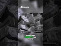 Download Lagu Drug Cartels: The Shocking Truth About Their Origins #riseorfall #news #cartel #shorts #viralvideo