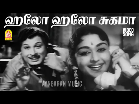 Hello Hello Sugama - YouTube