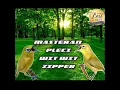 Download Lagu MASTERAN PLECI TEMBAKAN WIT WIT ZIPPER | AUTO JUARA