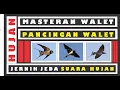 Lagu SUARA BURUNG WALET MEMANGGIL TEMAN, PANCINGAN BURUNG WALET AMPUH | MASTER SUARA WALET JERNIH HUJAN