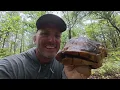 Wild Turkeys at our New Home!  {Catch Clean Cook} The Sanctuary.! 