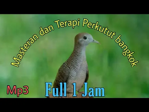 Download MP3 MASTERAN & TERAPI PERKUTUT BANGKOK, FULL (1 Jam).mp3