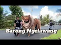 Barong Desa Kayubihi VS Barong Desa Katung