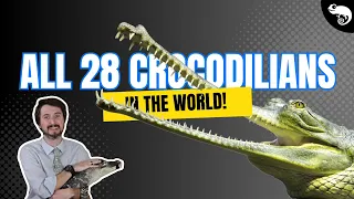 Every Species of Alligator Crocodile Caiman and Gharial If You re Into That Kind of Thing