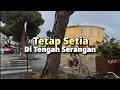 Download Lagu Tetap Setia Di Tengah Serangan - Renungan dan Doa Malam Suara Injil 28/5/2025