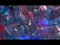 ANNA - Dissolution