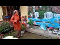 Download Lagu Dongeng Minang || Asa Usua Ikan Sakti Di Sungai Janiah
